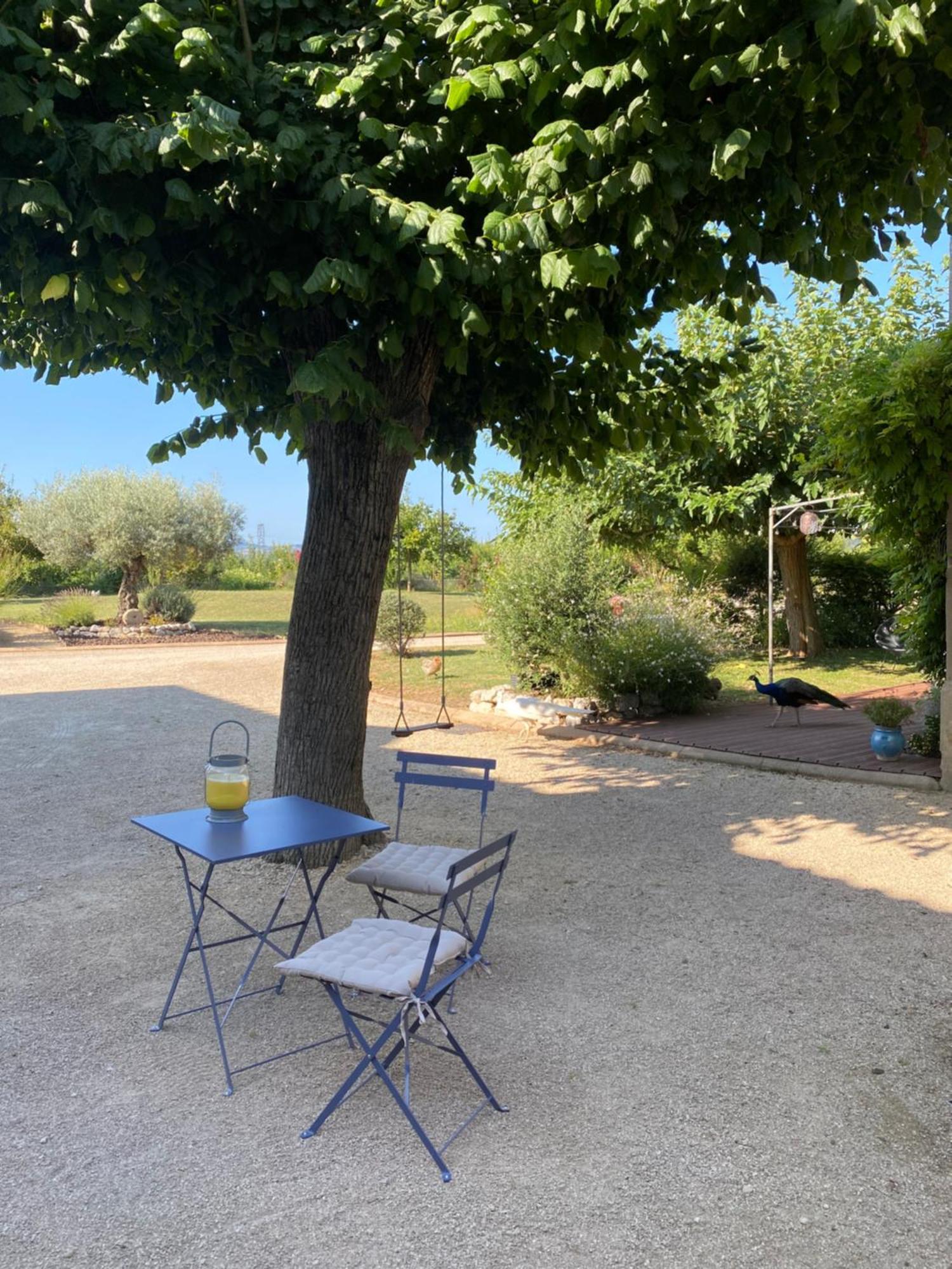 Appartement Le Domaine D'Adrien à Larnage Extérieur photo